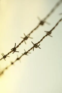 Barbwire Stock Photos