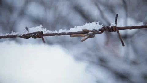 Barbwire snow winter Stock Footage 71292904