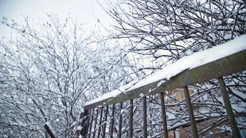 Barbwire snow winter Stock Footage 74764360