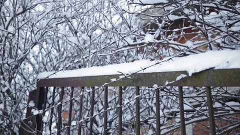 Barbwire snow winter Stock Footage 74764611