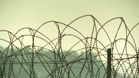 Barbwire at the South Korean Border Stock Footage 41456256