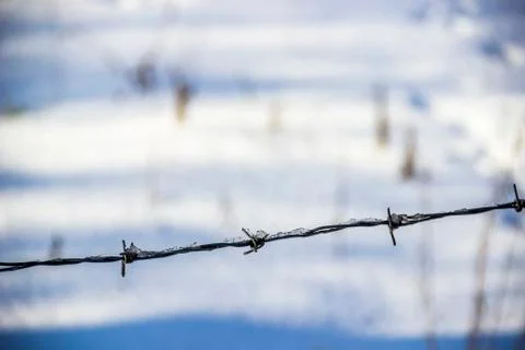 Barbwire in winter Stock Photos