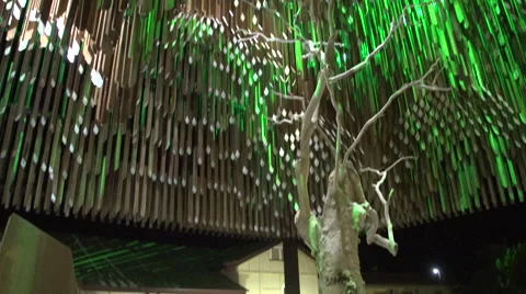 Barcaldine-Tree Of Knowledge C Inside Structure Stock Footage 48585126