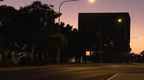 Barcaldine-Tree Of Knowledge Close Up Stock Footage 48583957