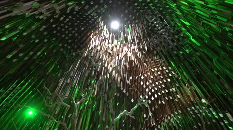 Barcaldine-Tree Of Knowledge Inside Structure Stock Footage 48584148