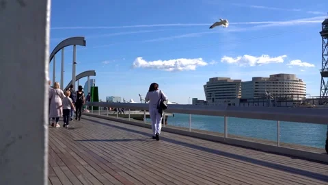 Barcelona  4k Stock Footage 247522813