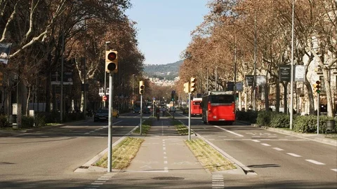 Barcelona, Arc de Triomf wit traffic and public transport Stock Footage 124706462