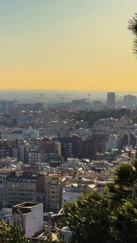 Barcelona cityscape view with trees in front Stock Footage 303370217