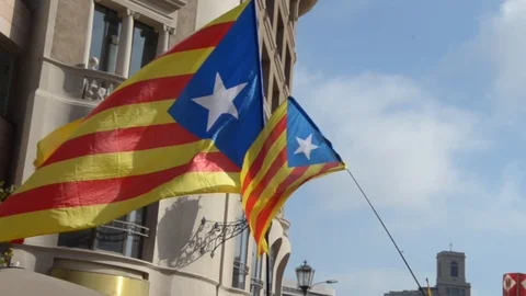 Barcelona Flags at Protest Stock Footage 94595659