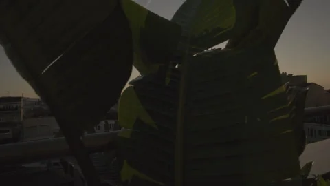 Barcelona 動画素材 327801656