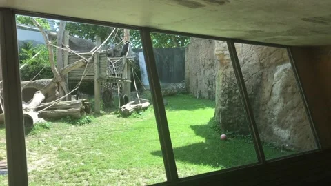 Barcelona, Spain, A bear that is standing in front of a building Video stock 133360009