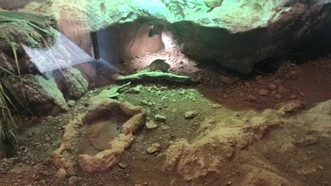 Barcelona, Spain, A close up of a rock Video stock 133367764