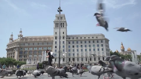 Barcelona Spain ground level camera with pigeons Stock Footage Stock Footage 82241365