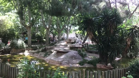 Barcelona, Spain, A group of palm trees next to a tree Stock Footage 133357308