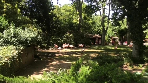 Barcelona, Spain, A house with trees in the background Stock Footage 133357230