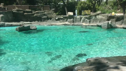 Barcelona, Spain, A large pool of water Video stock 133369342