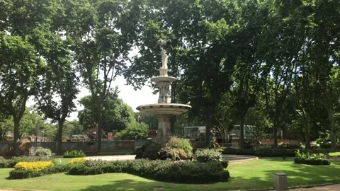 Barcelona, Spain, A large tree in a park Stock Footage 133368760