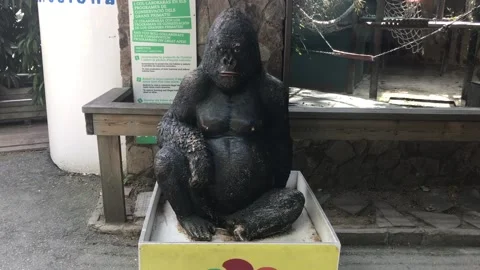 Barcelona, Spain, A statue of a bear sitting in front of a building Stock-Footage 133356089