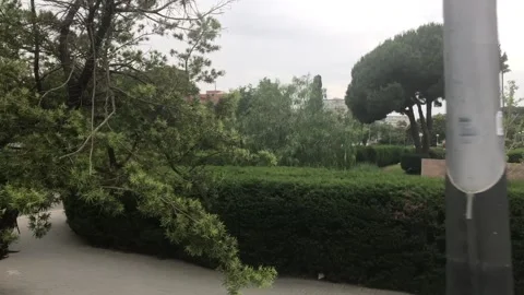 Barcelona, Spain. A train on a train track with trees in the background Stock Footage 133137762