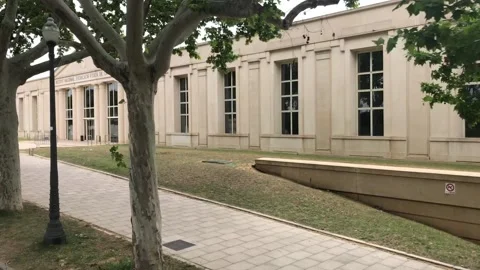 Barcelona, Spain. A tree in a park Video stock 133136961