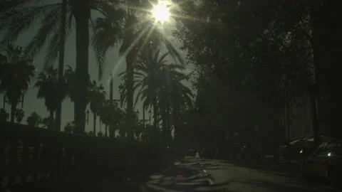 Barcelona (Streets) Stock Footage 233300570