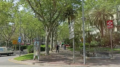 Barcelona Streets in Spring 5 Video stock 181048787