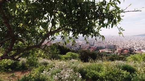 Barcelona view 動画素材 129750158