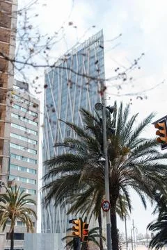 Barcelona's Torre Glories skyscraper framed by palm trees and traffic lights Stock Photos