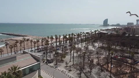 Barceloneta Drone Shot Stock Footage 184467436