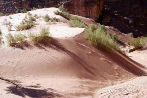 Barchan Stock Photos