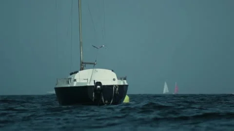 Barco niza Stock Footage 11317401