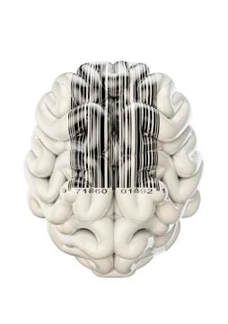 Barcode brain 스톡 일러스트