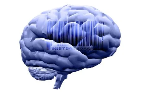 Barcode on brain Stock Illustration
