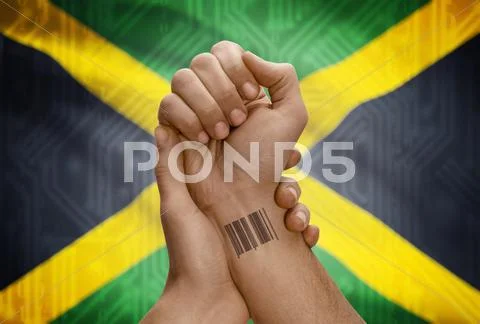 Barcode Id Number Tattoo On Wrist Stock Photo 360413351 | Shutterstock