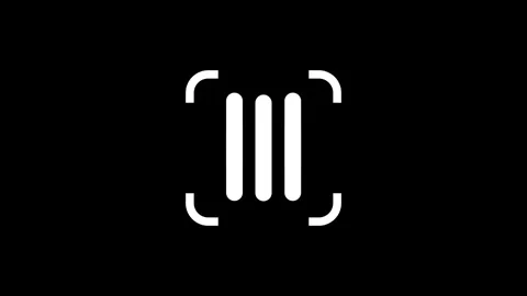 Barcode Scanner Icon Stock Footage 335592145