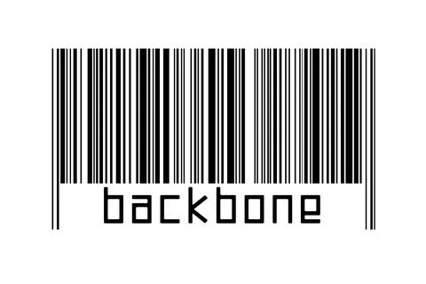 Barcode on white background with inscription backbone below. Concept of tradi イラスト素材