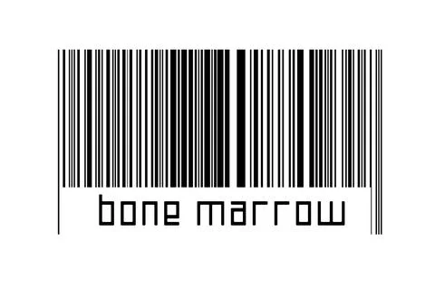 Barcode on white background with inscription bone marrow below. Concept of tr Stock Illustration