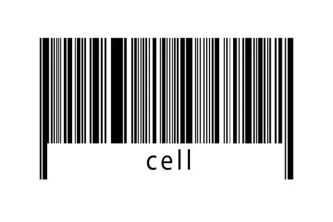 Barcode on white background with inscription cell below. Concept of trading a Stock Illustration