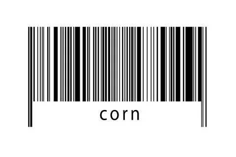 Barcode on white background with inscription corn below. Concept of trading a Stock Illustration
