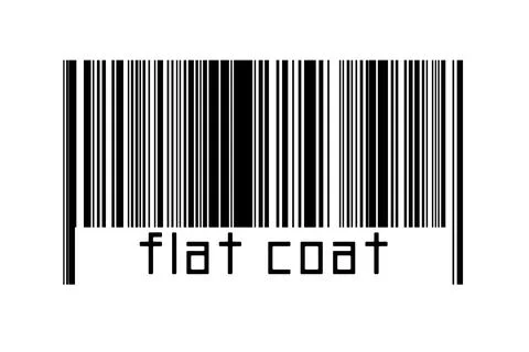 Barcode on white background with inscription flat coat below. Concept of trad Stock Illustration