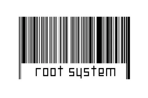 Barcode on white background with inscription root system below. Concept of tr Stock Illustration
