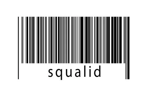 Barcode on white background with inscription squalid below. Concept of tradin Stock Illustration