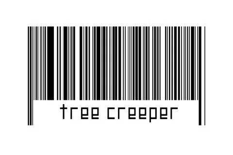 Barcode on white background with inscription tree creeper below. Concept of t Stock Illustration