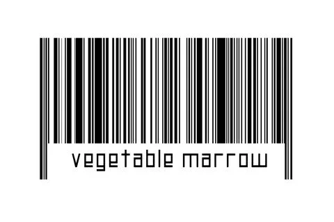 Barcode on white background with inscription vegetable marrow below. Concept  Stock Illustration