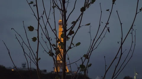Bare autumn tree and Eiffel Tower at night, Paris Stock Footage 87961556