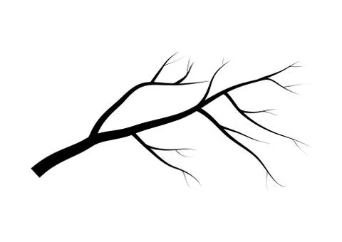 Bare branch tree silhouette vector symbol icon design. Beautiful illustration Stock Illustration