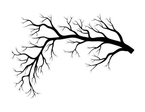Bare branch winter design isolated on white background Stock Illustration