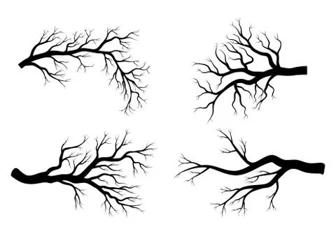 Bare branch winter set  design isolated on white background Stock Illustration