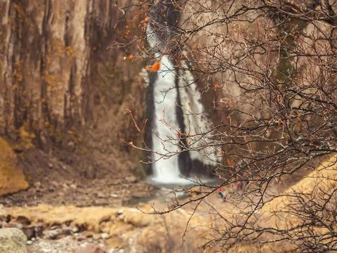 Bare branches of an autumn tree against the backdrop of a powerful waterfall Stock Photos