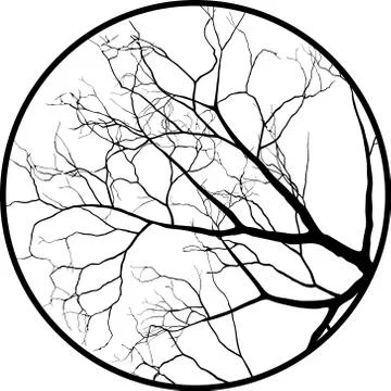 Bare branches in circle - vector illustration Stock Illustration